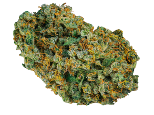 The Iconic Jack Herer Strain Overview