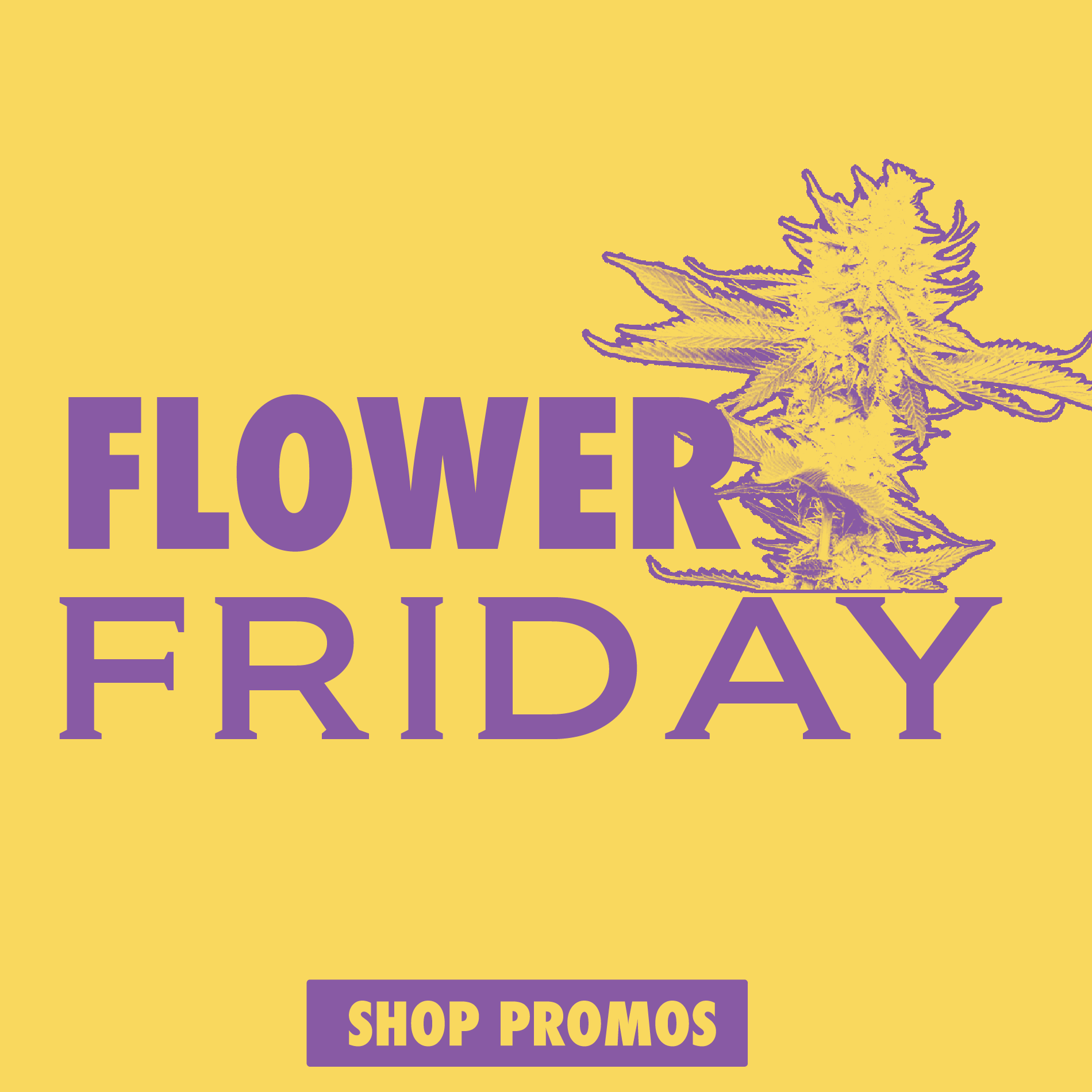 FLORE-Artboard-1-copy-4weeklypromo-square Purple cannabis flower graphic with 'Flower Friday' and 'Shop Promos' on yellow background.