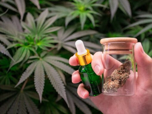 Best Terpenes for Anxiety: How We Shop Calm at Flore