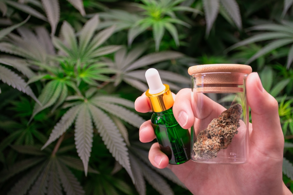 Best Terpenes for Anxiety: How We Shop Calm at Flore